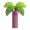 palm tree